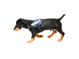 Imagen del producto Julius arnés idc mini mini azul