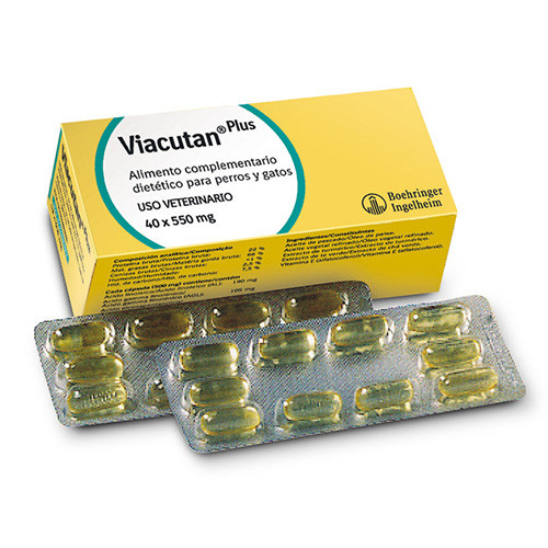 Imagen de Boehringer Viacutan plus 550 mg 40 cápsulas
