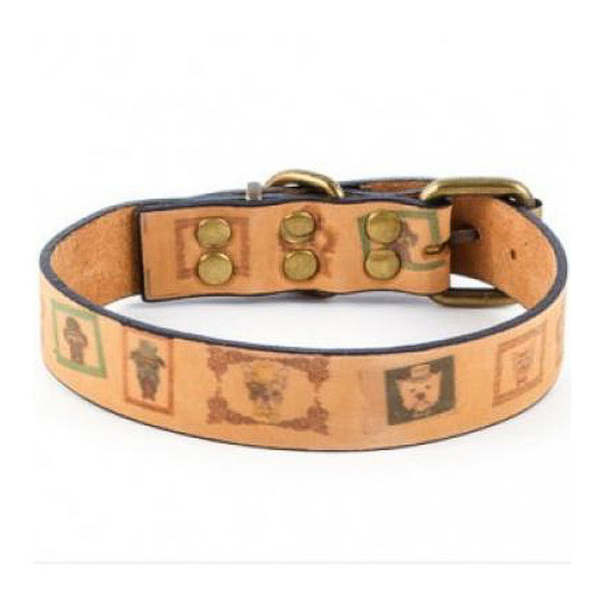 Imagen de Ubrique collar diseño can-hipster talla xl