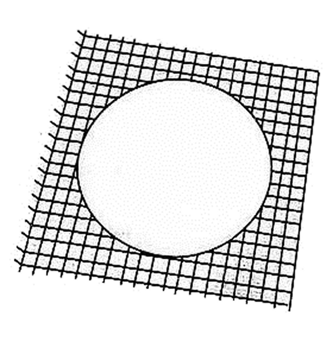 Imagen de Correa Ubrique estampado sandias S 130cm